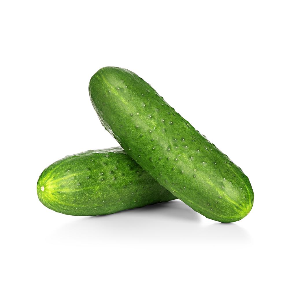 Fresh Cucumber