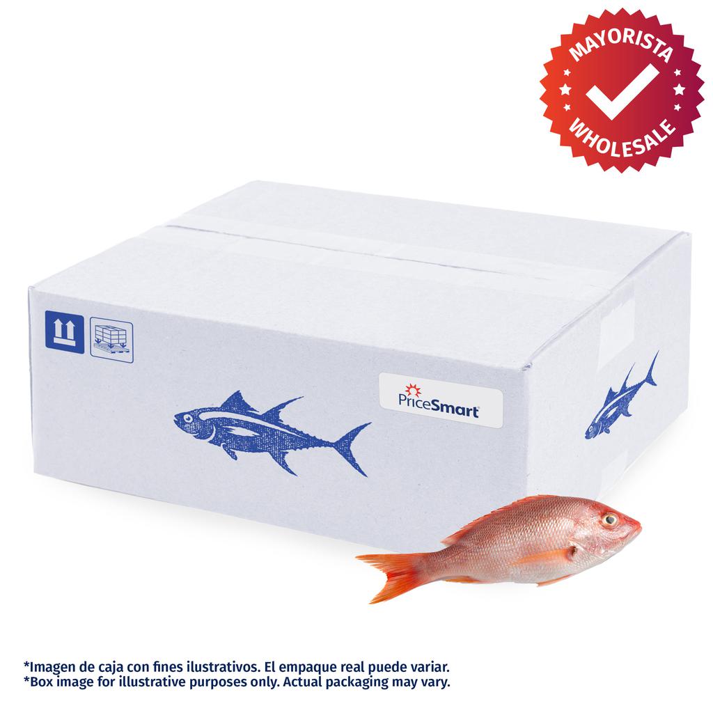  Frozen Whole Red Snapper