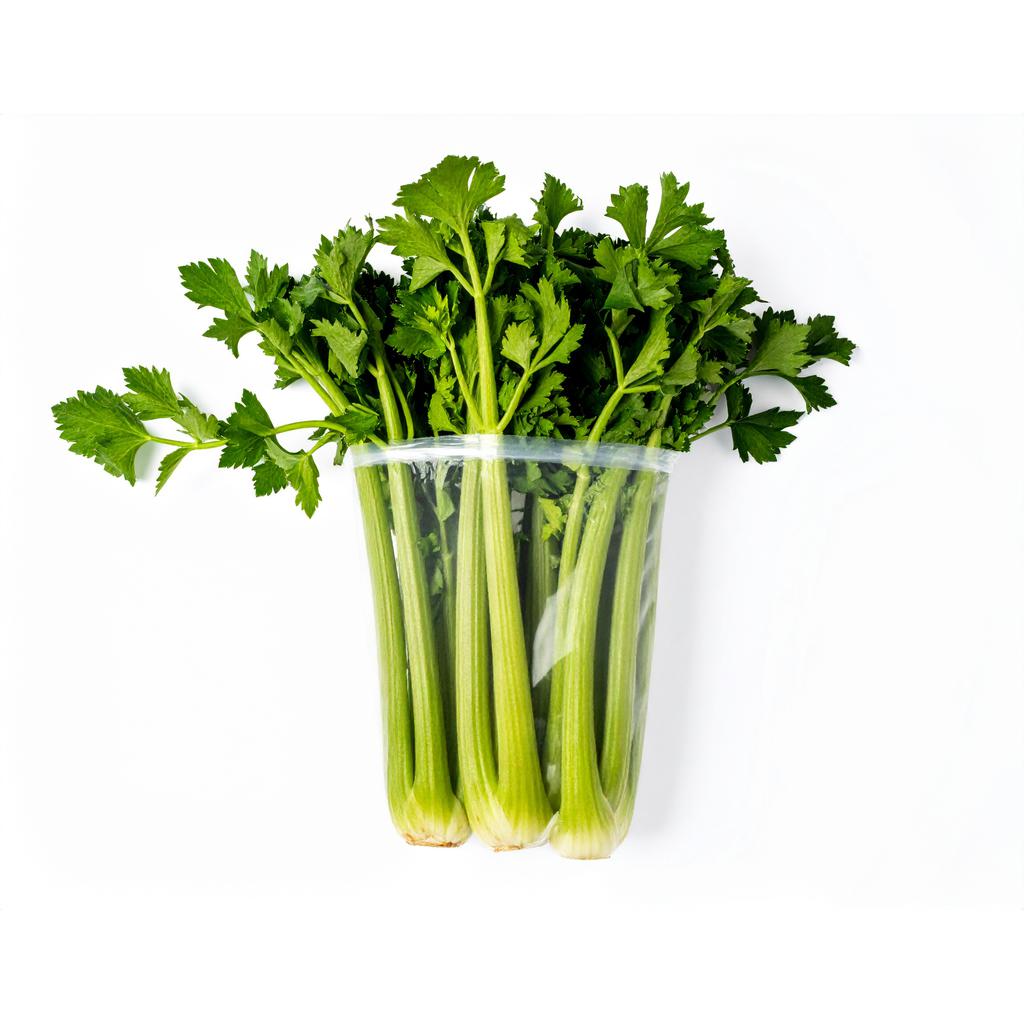 Apio Fresco 1.5 kg / 3.5 lb