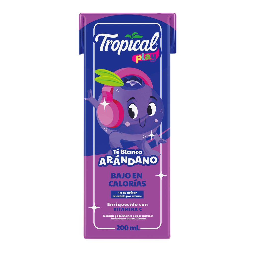 Tropical Play Peach and Cranberry Iced Tea 24 Units / 200 mL Tea