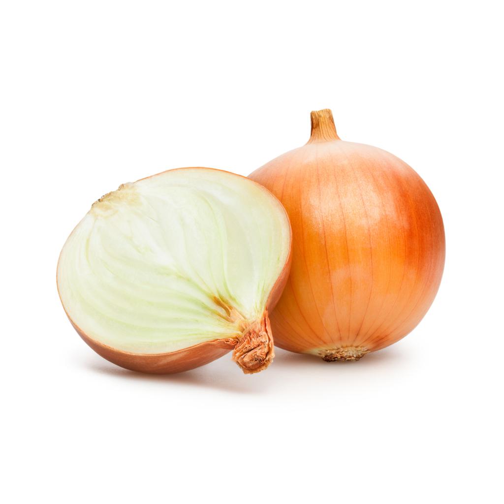 Fresh Yellow Onion 1.36 kg  / 3 lb