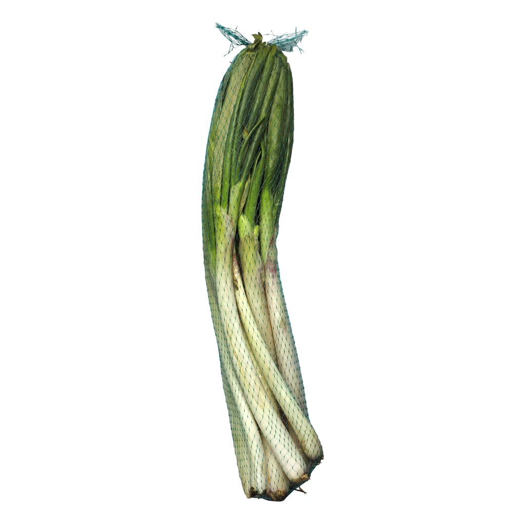 Cebolla Larga 1 kg / 2.2 lb