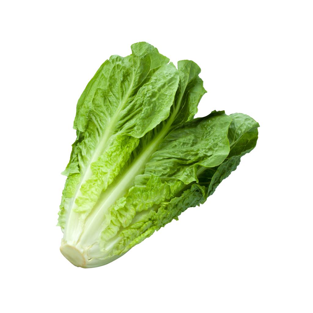 Romaine Lettuce, 3 Units