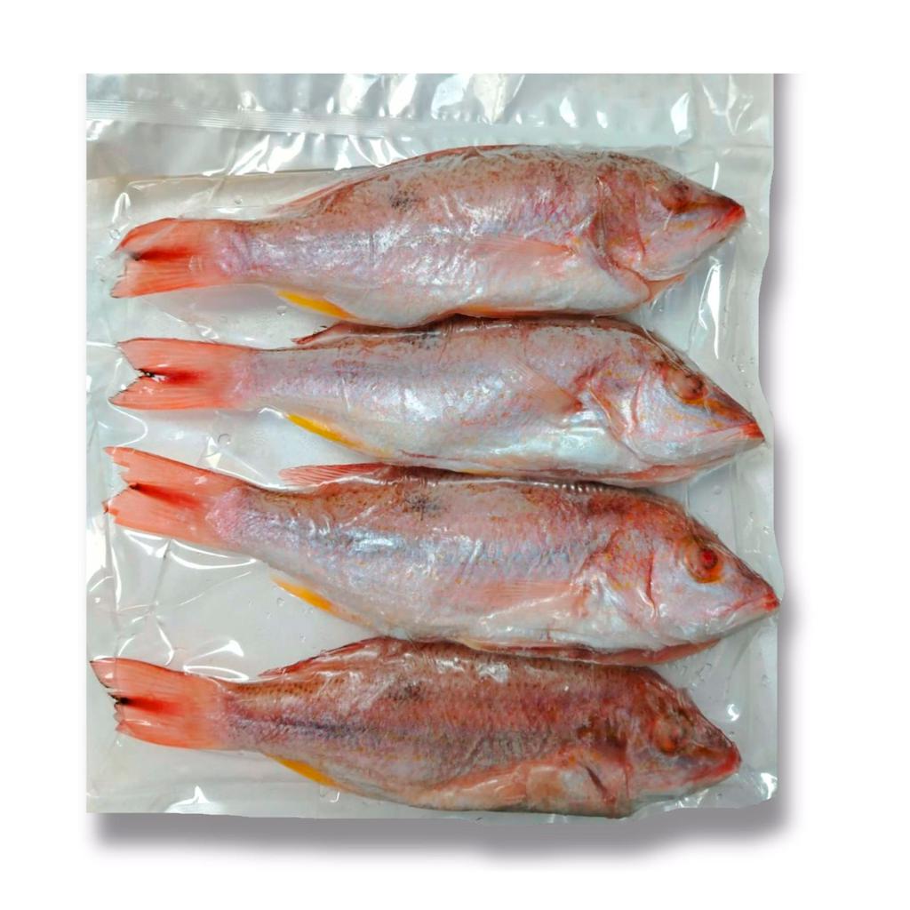 Salva-Mar Red Snapper Frozen Vacuum Packed 908 g / 2 lb Fish