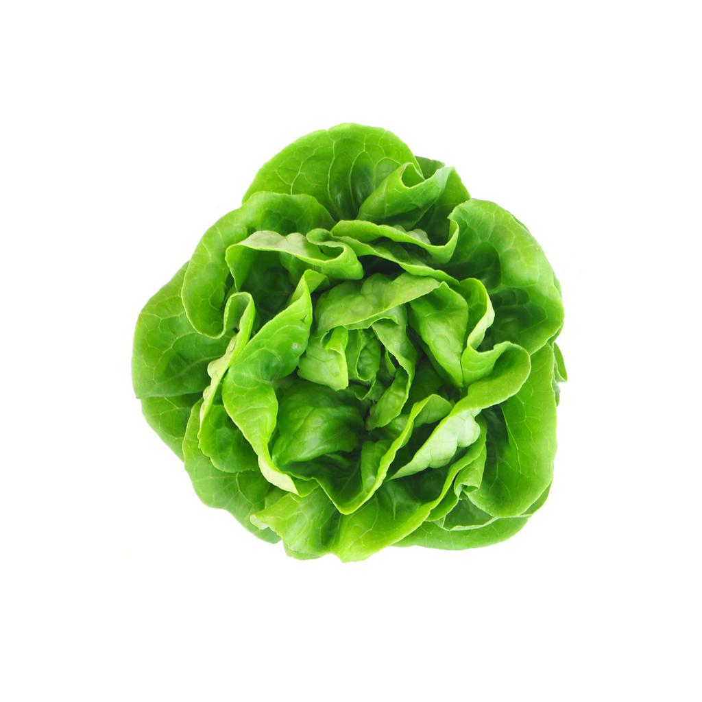 Butterhead Lettuce 2 Units