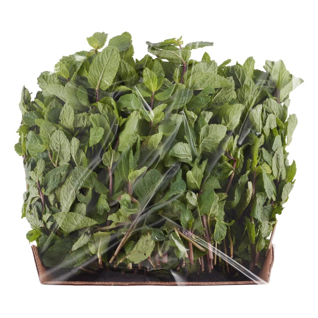 Menta 396 g / 14 oz
