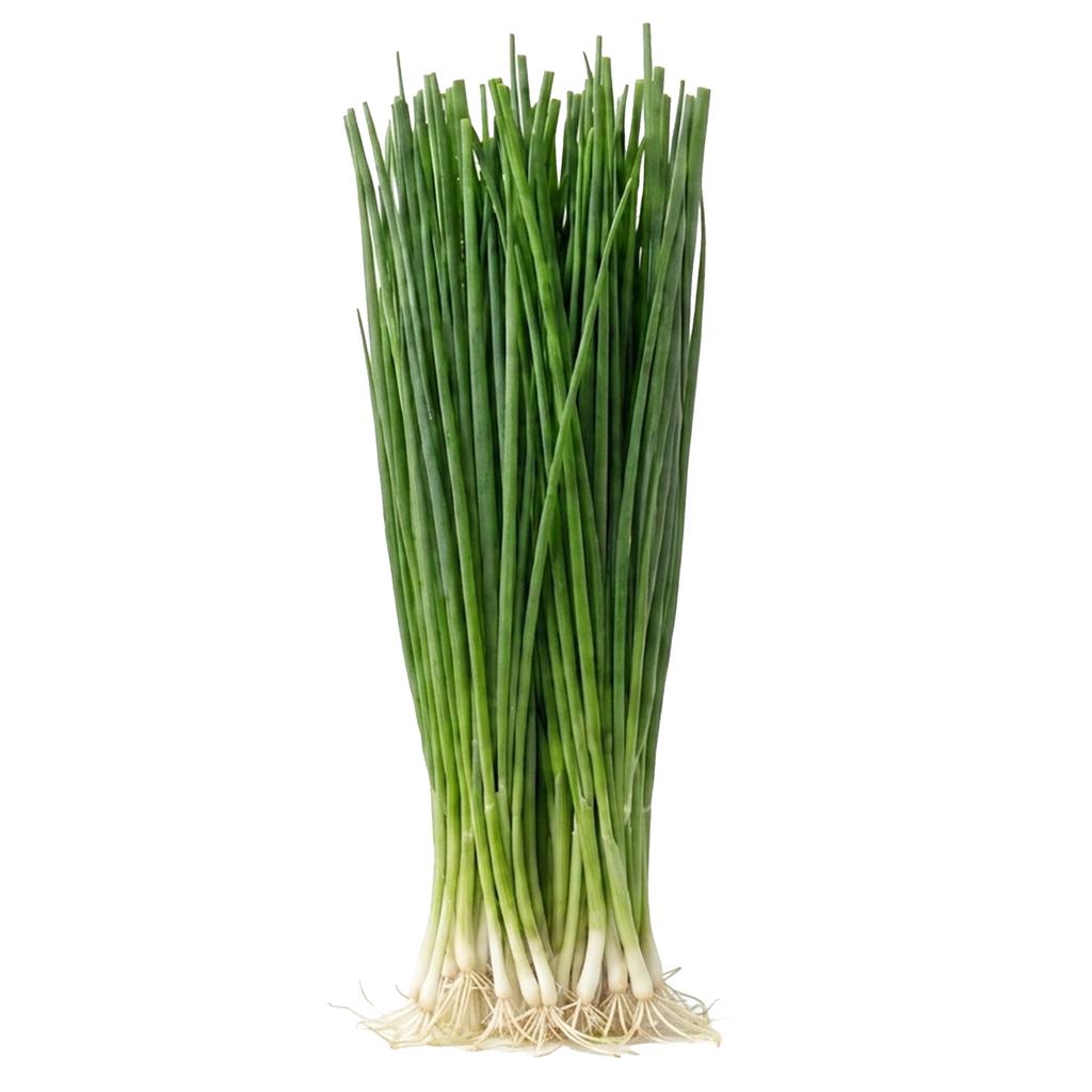Cebollin Hidropónico 454 g / 1 lb