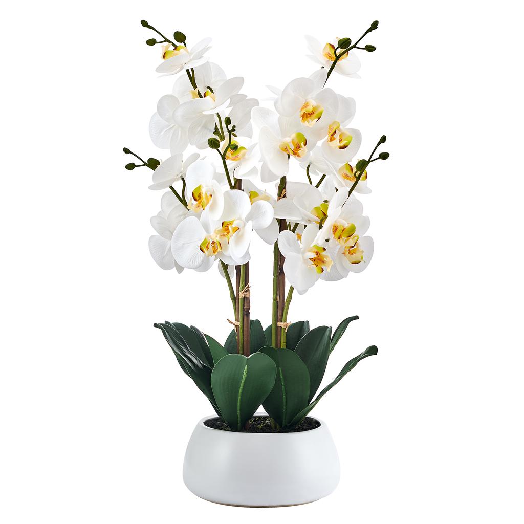 Member's Selection Orquídeas Artificiales con Maceta de Cerámica