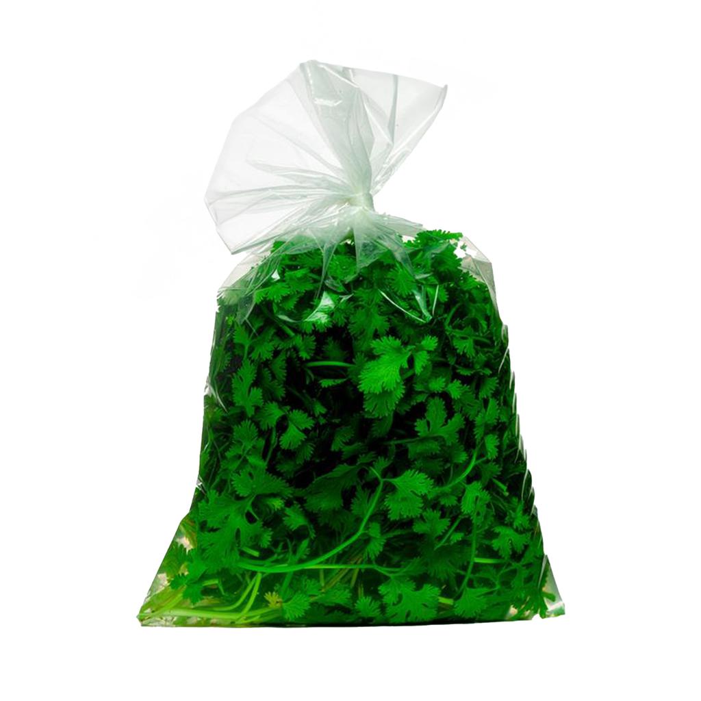 Cilantro 396.8 g / 14 oz