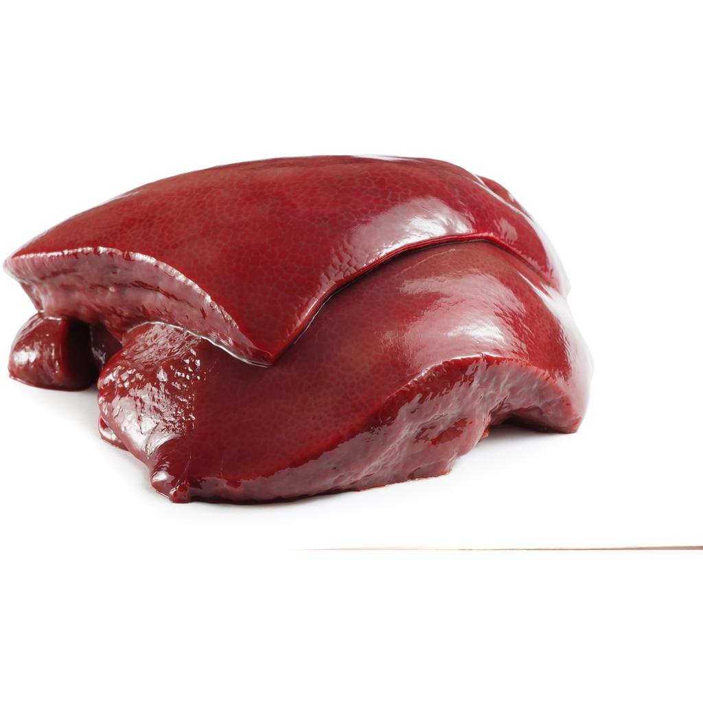 Frozen Liver Case