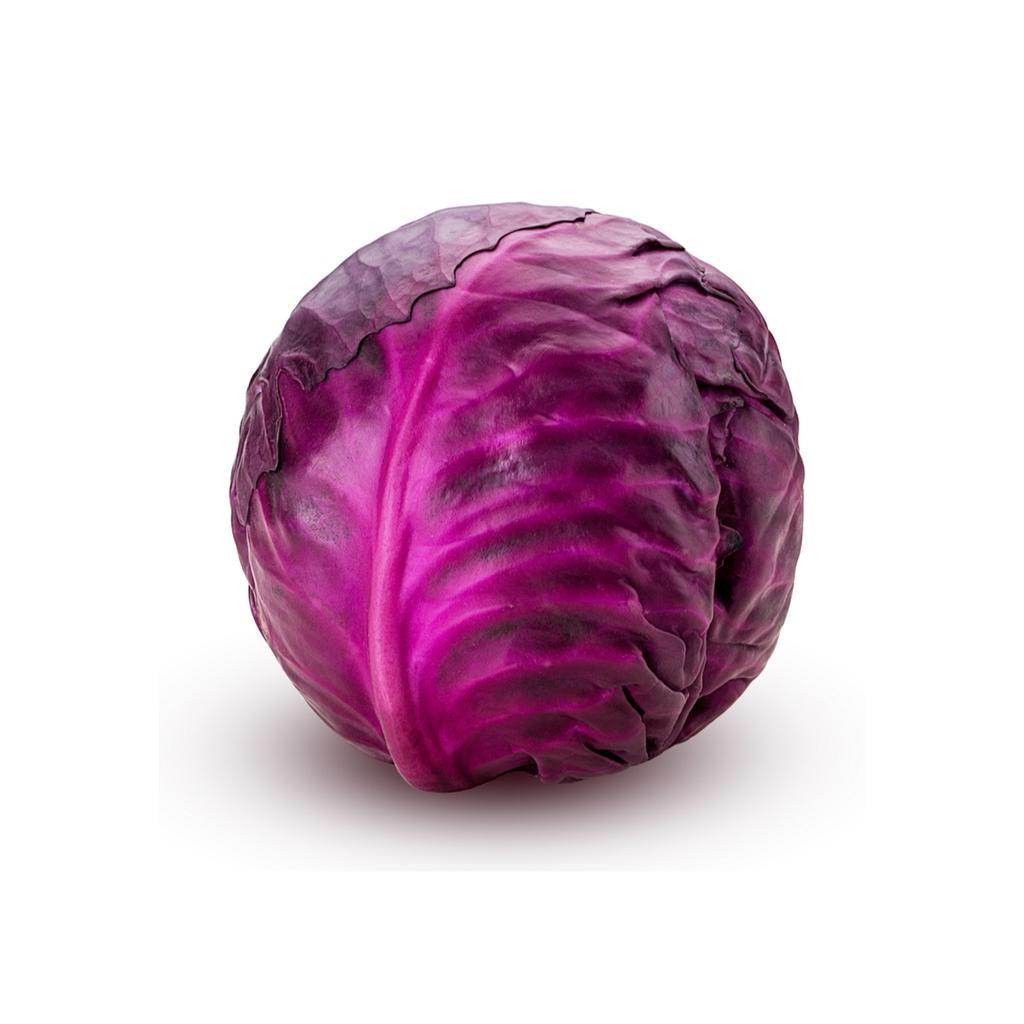 Purple Cabbage Unit