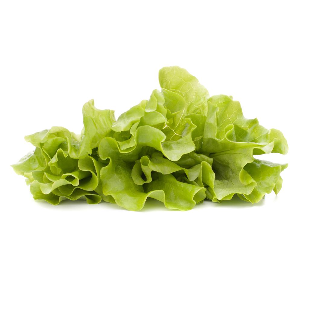 Lettuce Leaves 340 g / 12 oz