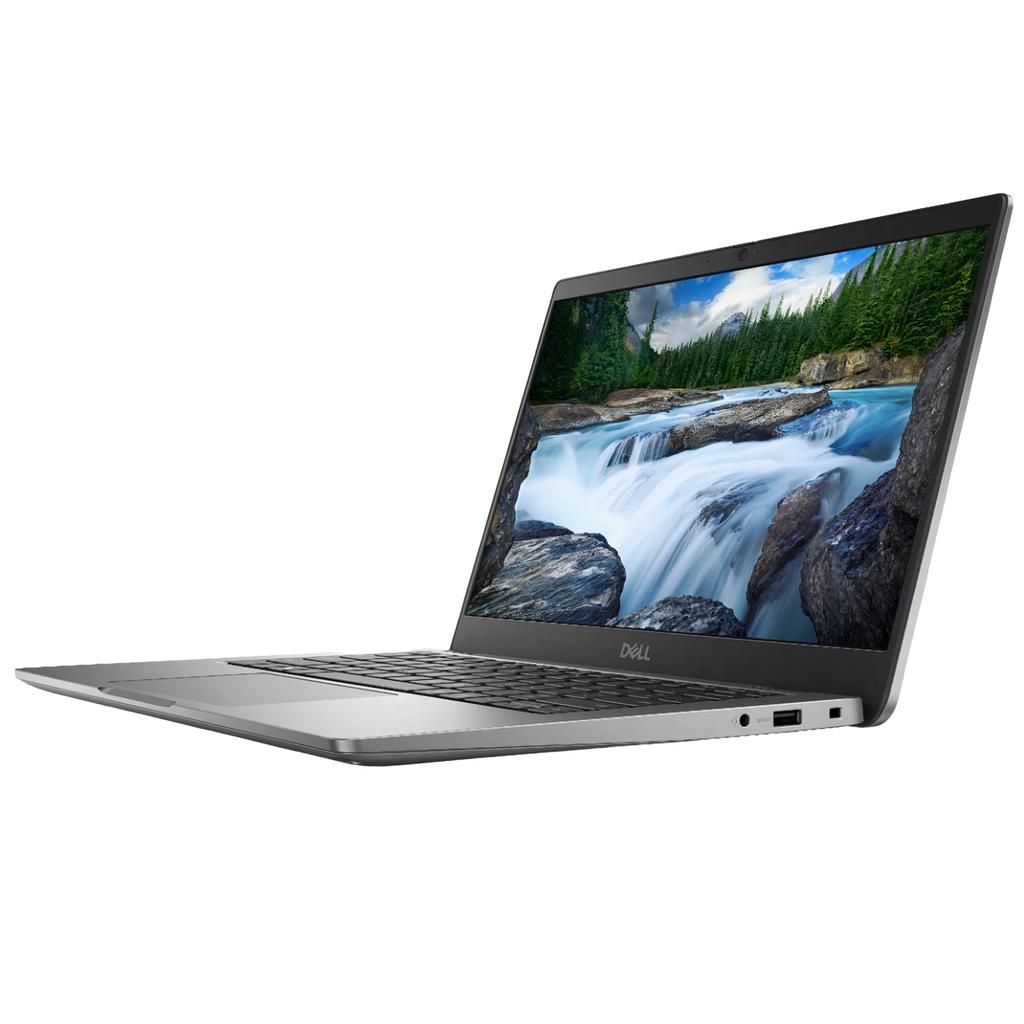 Dell 33.8 cm / 13.3
