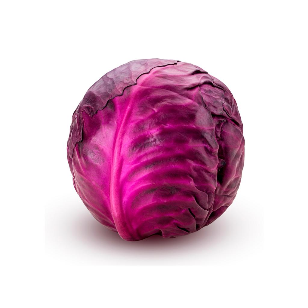 Purple Cabbage Unit
