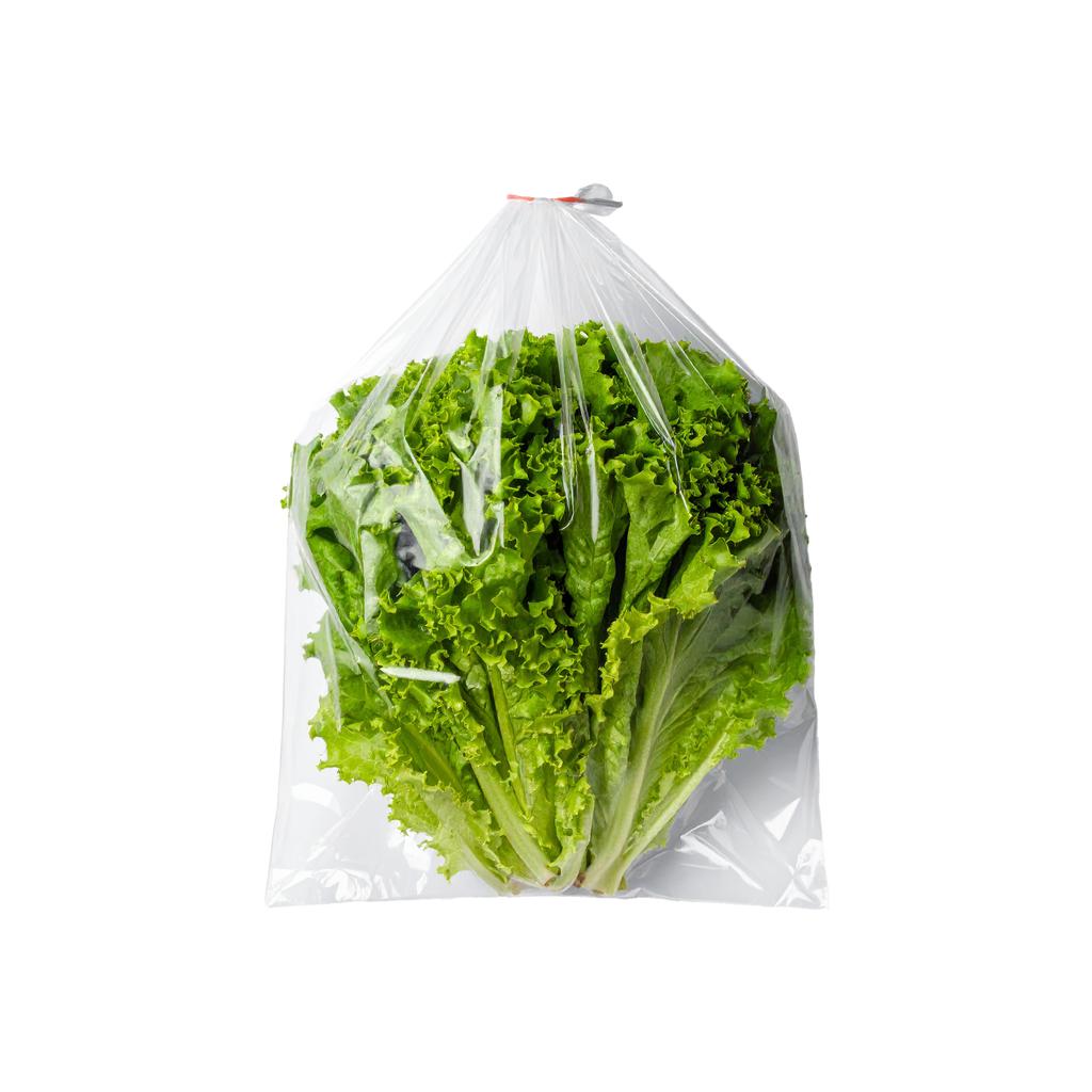 Lechuga Rizada 726 g / 1.6 lb