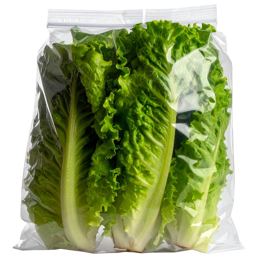 Lechuga Romana 3 Unidades / 900 g / 2 lb