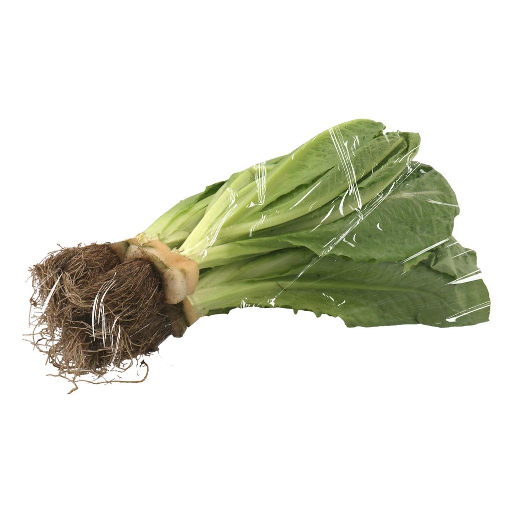 Lechuga Romana 500 g / 1.1 lb