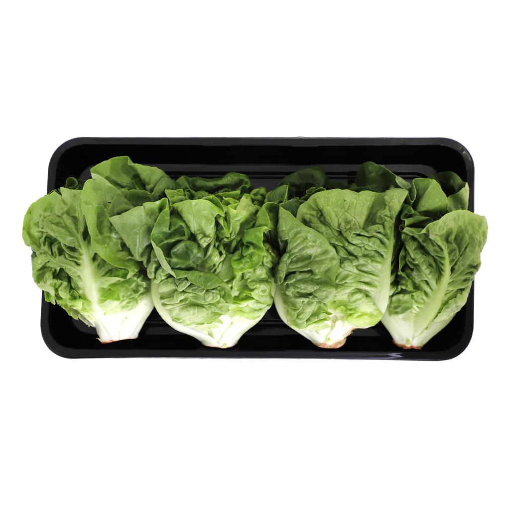 Cogollo Europeo Bandeja 500 g / 1.1 lb