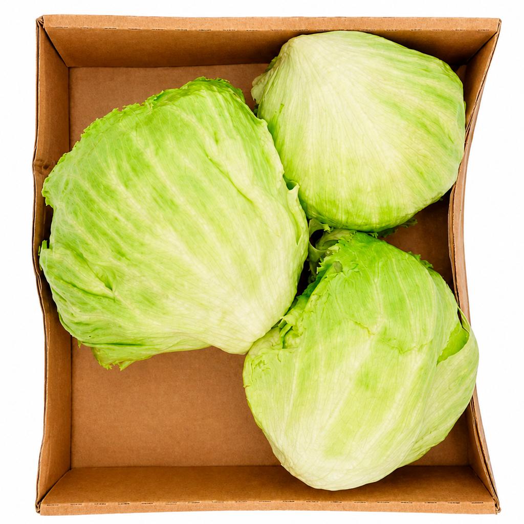 Lechuga Iceberg 1.63 kg / 3.6 lb
