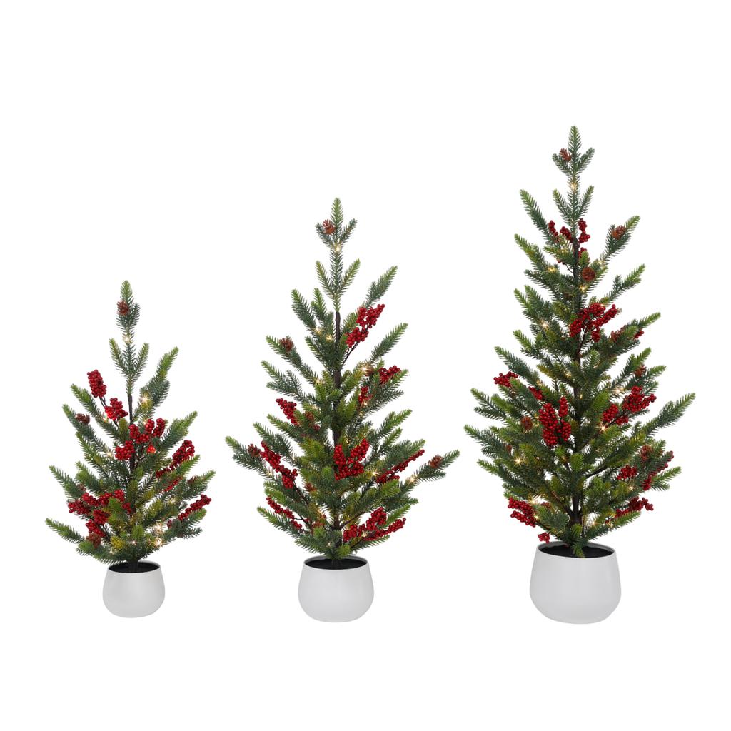 Member's Selection Set of Decorative Christmas Trees 3 Pieces