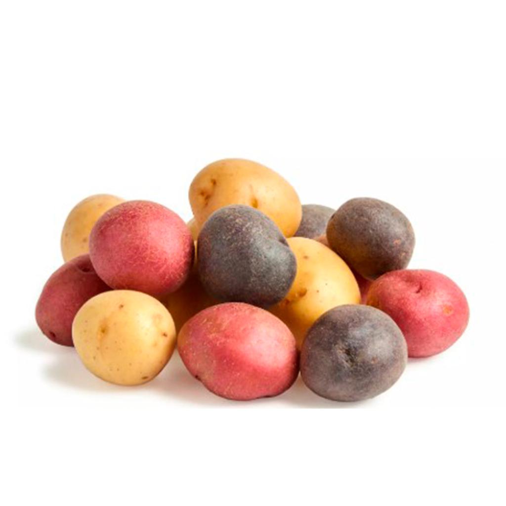 Mini Potato 1.3 kg / 3 lb